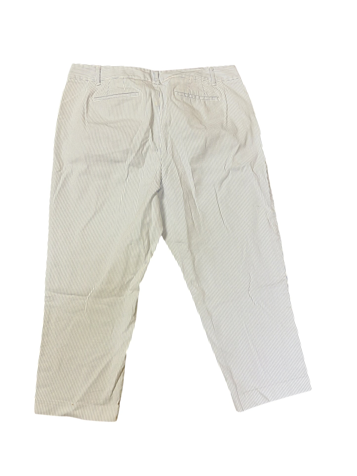blue stripe Talbots Pants, 14