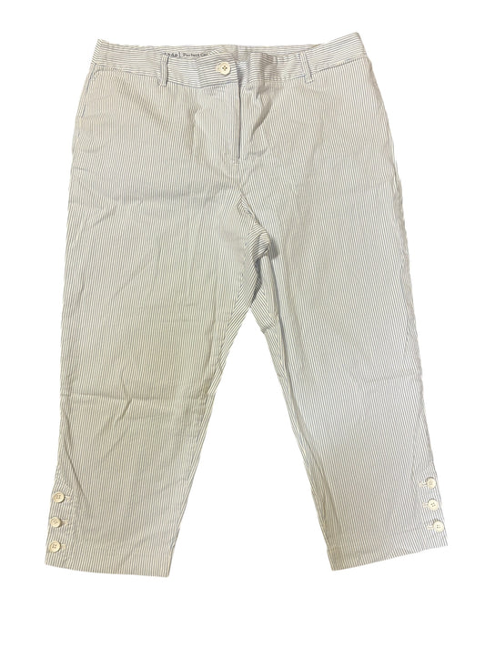 blue stripe Talbots Pants, 14