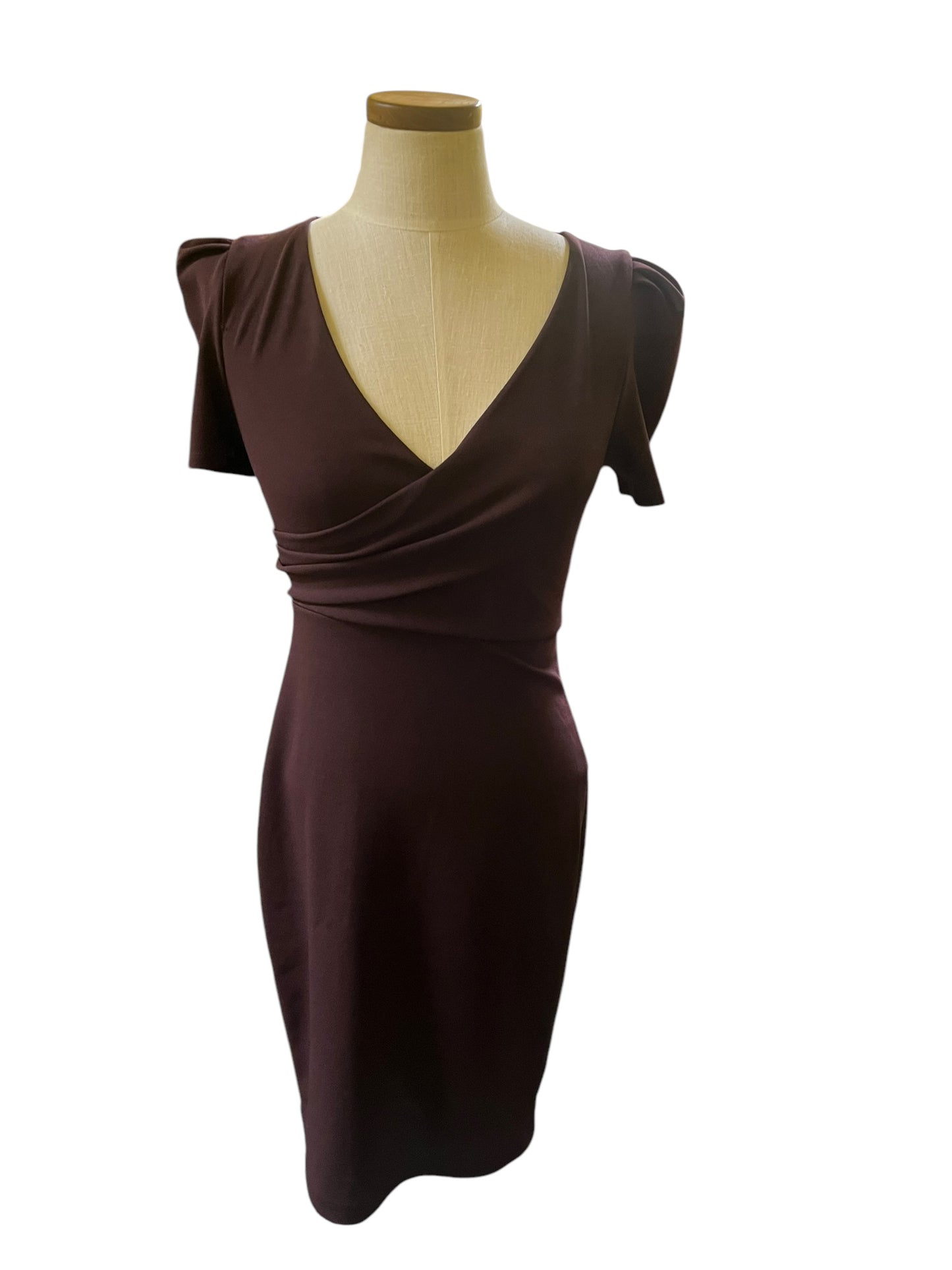 plum Express Dress, xs