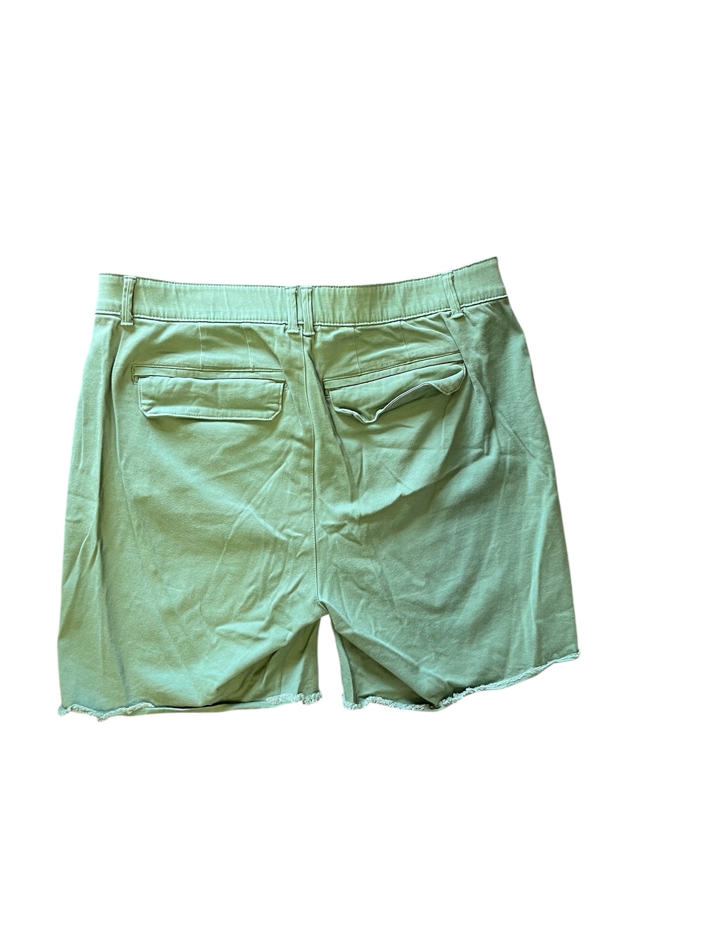 Green Democracy shorts, 16
