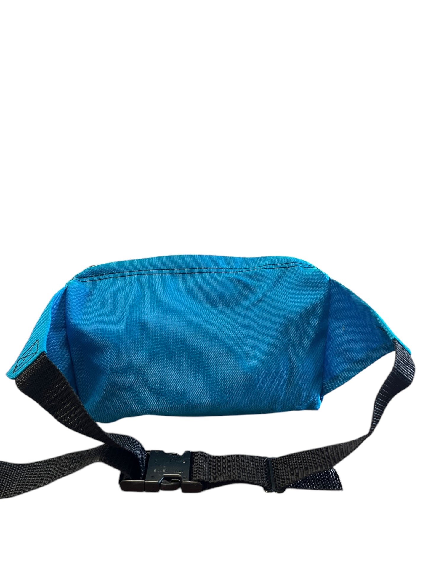 Aqua LL Bean Purse