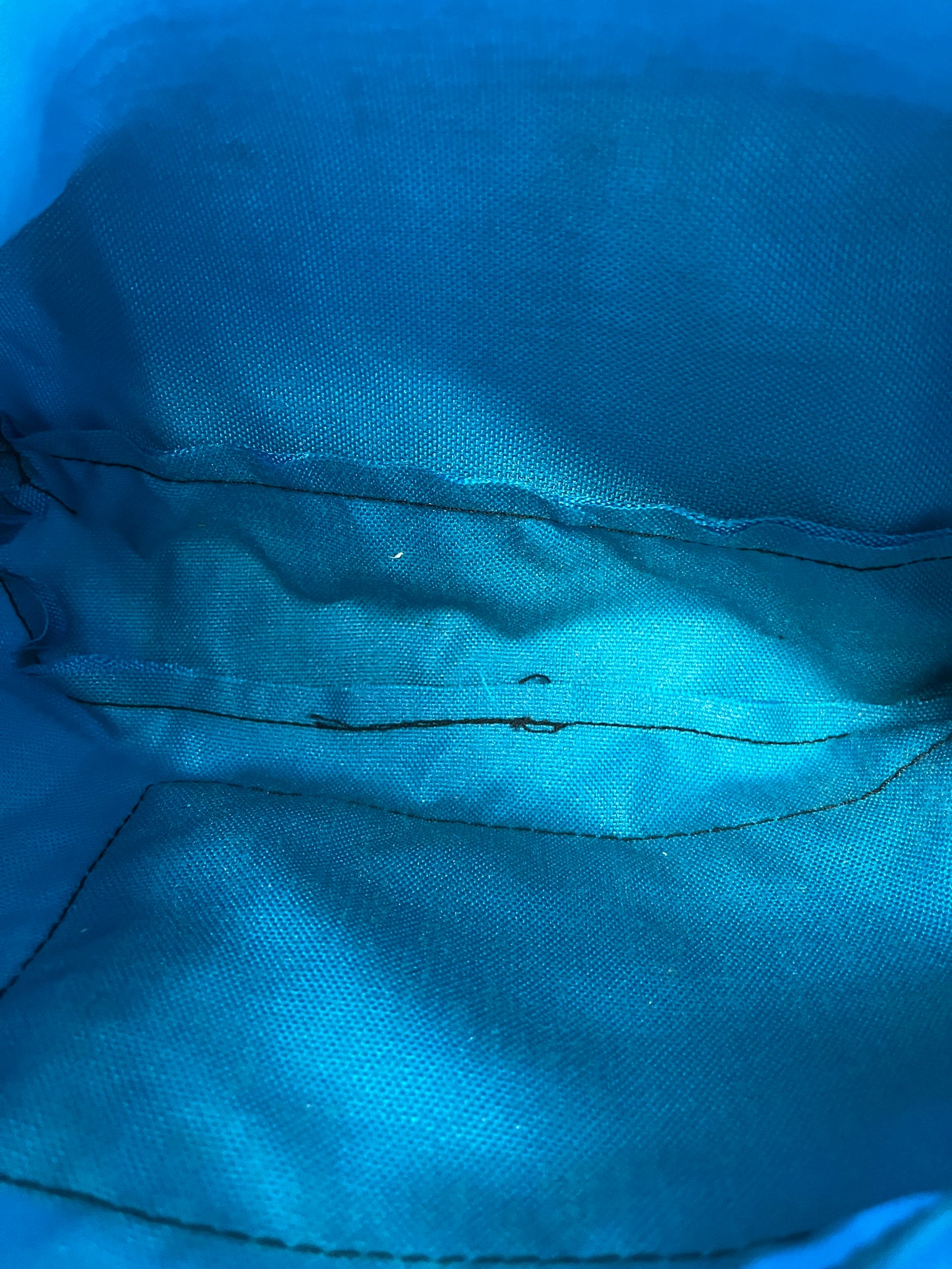 Aqua LL Bean Purse