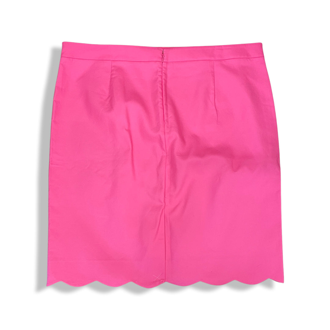 Size 16 J. Crew Skirt