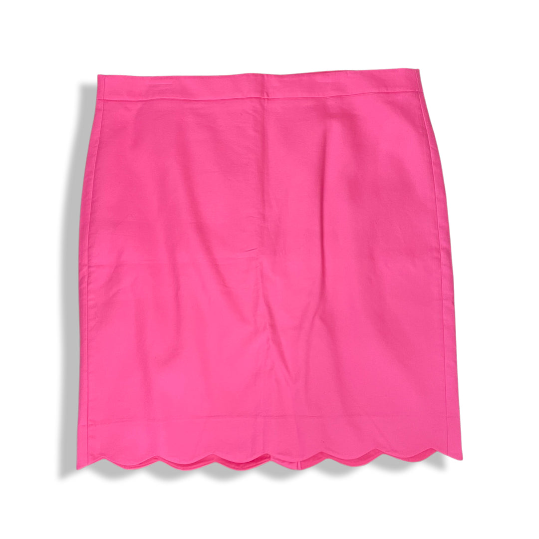 Size 16 J. Crew Skirt